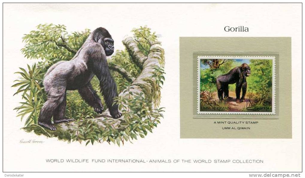 Umm Al Qiwain 1971. Gorilla. Gorille. Mensaap. Singe. Affe. Monkey. WWF Presentation Card. MNH**. New! - Gorilles