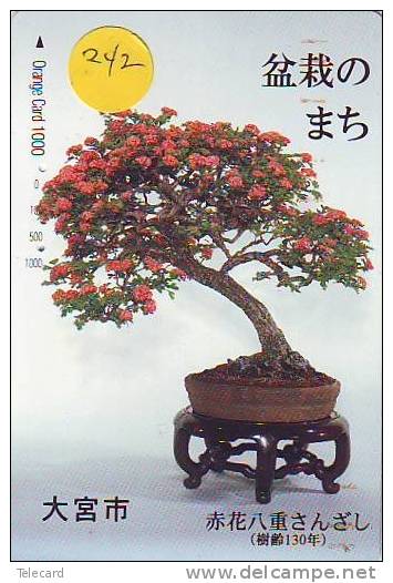 Télécarte Japon * Arbre Nain * BONSAI * 242 * Dwarf Tree Japan Phonecard * Telefonkarte Baum - Flores