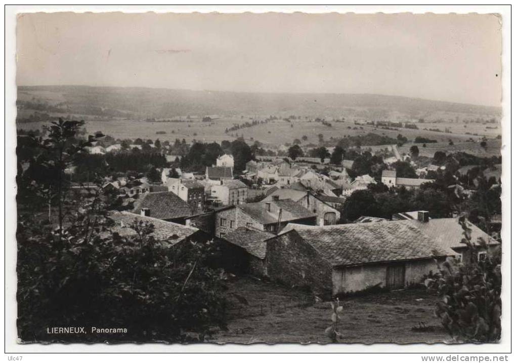 - LIERNEUX. - Panorama - Carte Photo - - Lierneux