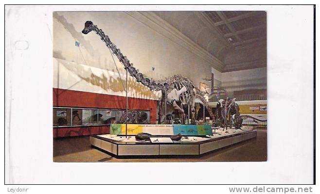 Dinosaur National Monument In Utah - Hall Of Dinosaurs - Autres & Non Classés
