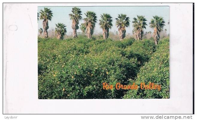 Rio Grande Valley, Texas - Otros & Sin Clasificación