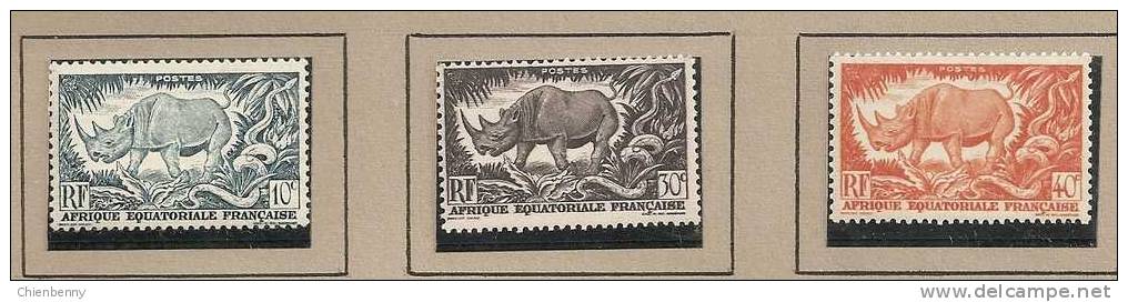 AFRIQUE EQUATORIALE FRANCAISE - Rhinocéros