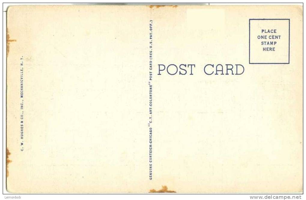 USA – United States – Kings Fountain, Washington Park, Albany N.Y 1930s Unused Postcard [P3356] - Albany