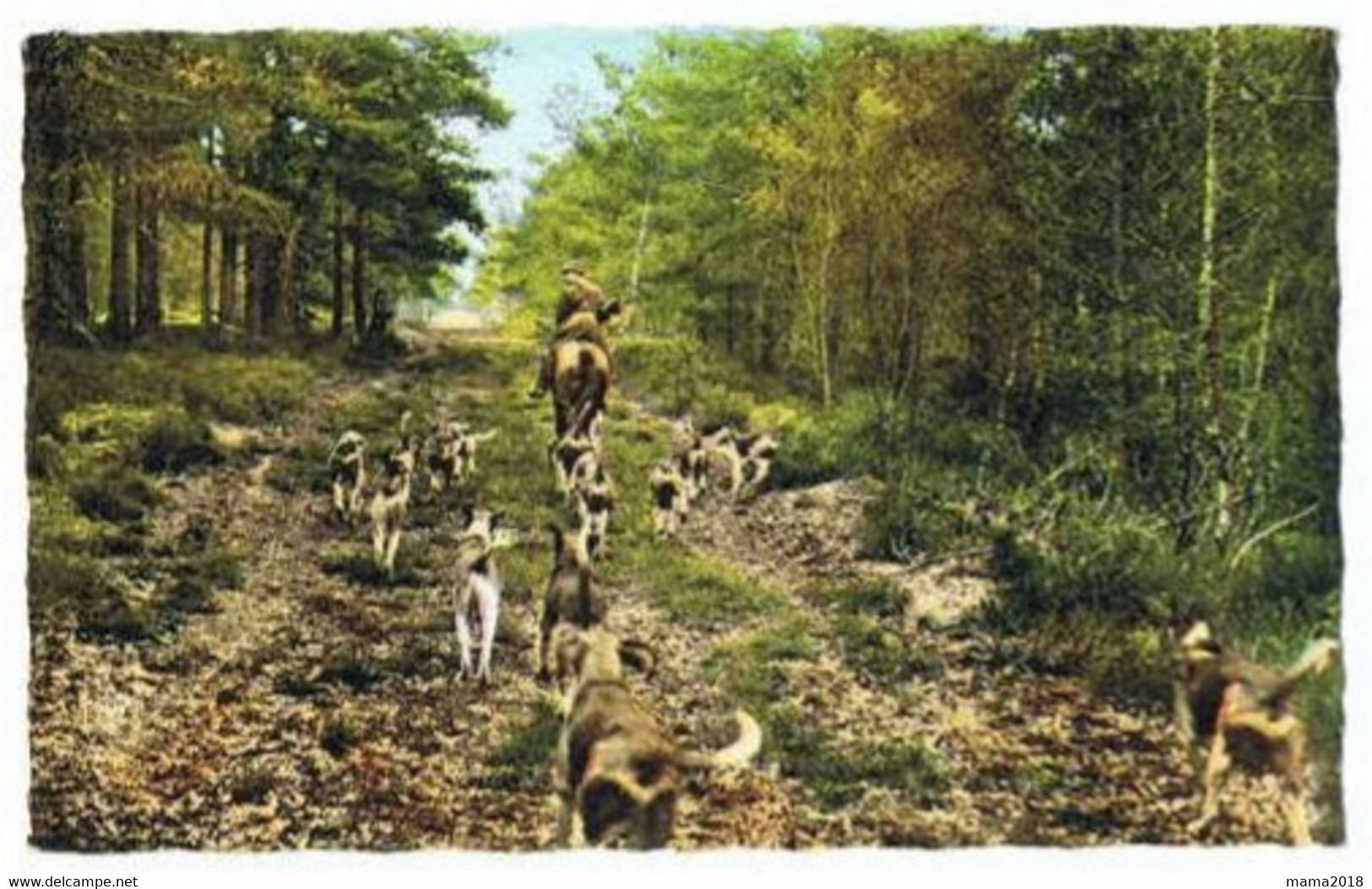 Chasse à Courre      La Forêt De Tronçais - Sonstige & Ohne Zuordnung