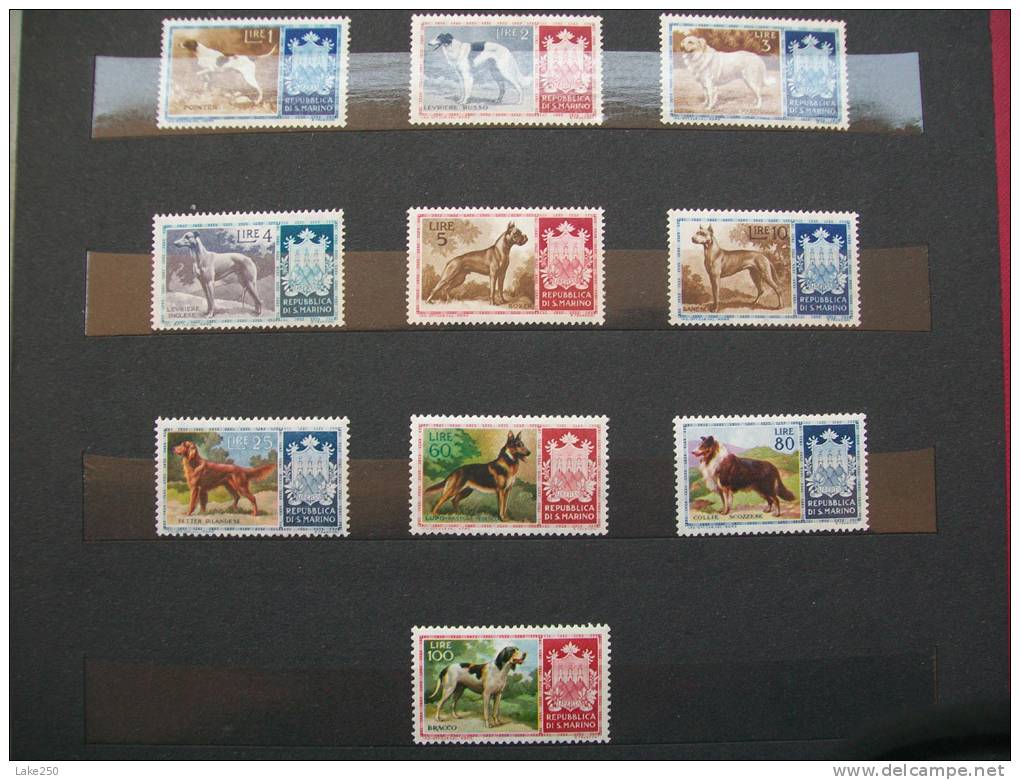 SERIE CANI DI RAZZA Nuovi - Unused Stamps