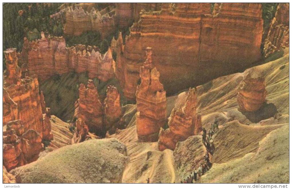 USA – United States – Bryce Canyon National Park, Utah Old Unused Postcard [P3370] - Bryce Canyon