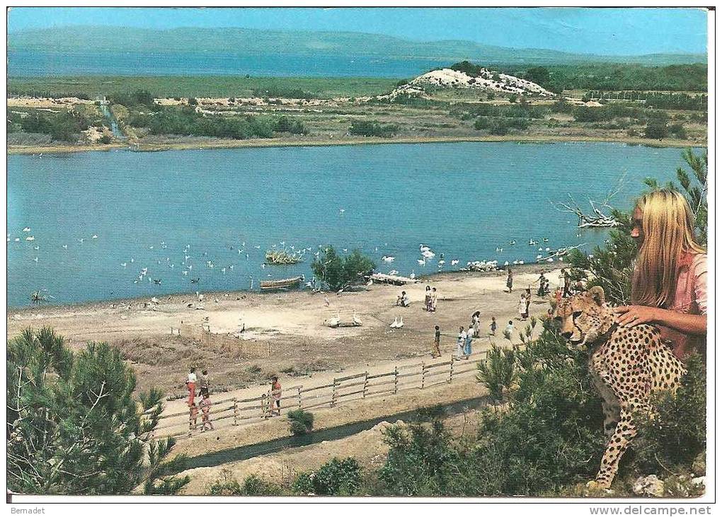 SIGEAN .. ETANG DE L'OEIL DE CA . VUE PANORAMIQUE ..RESERVE AFRICAINE DE SIGEAN - Sigean