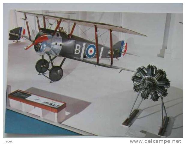 Fighter Sopwith F 1 Camel  RAF - 1914-1918: 1st War