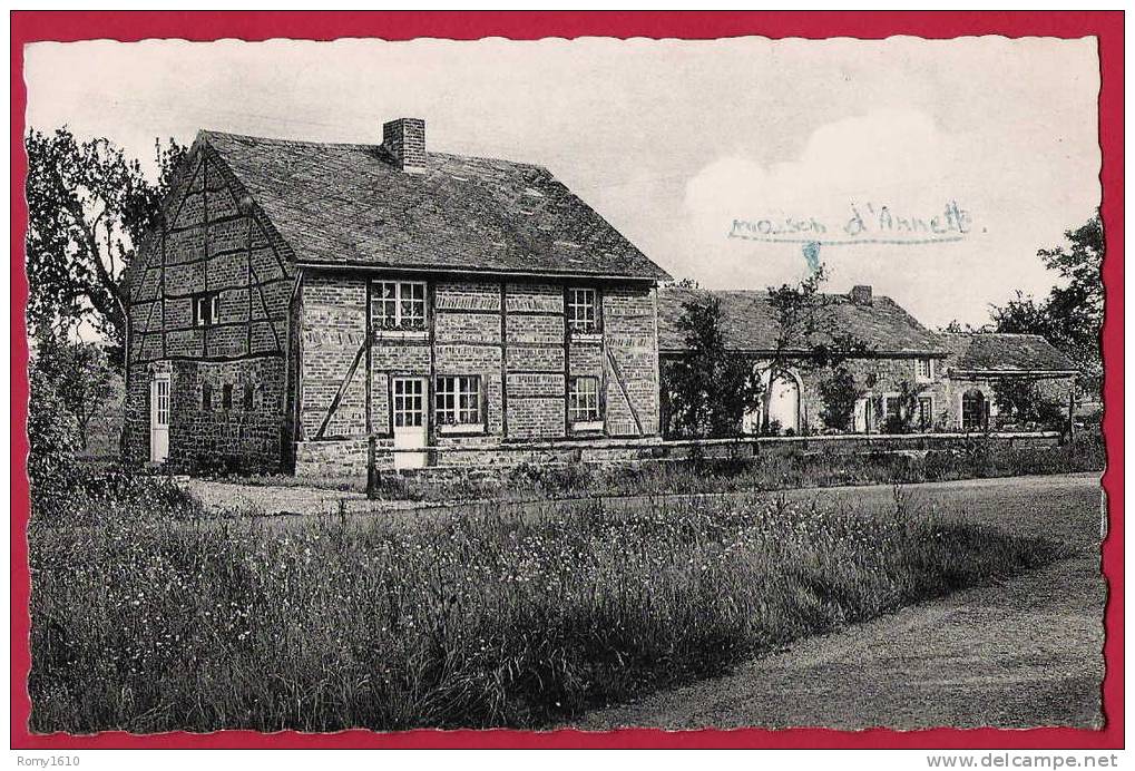 Environs D'Erezée, Hazeilles. Photo-carte. - Erezée