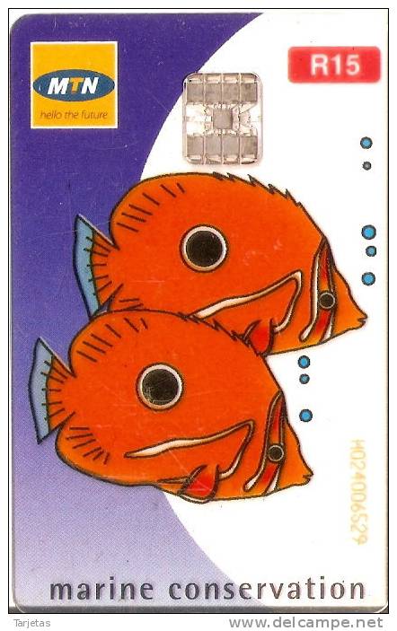 TARJETA DE SUDAFRICA DE UNOS PECES (FISH-PEZ) TARJETA TRANSPARENTE - Peces