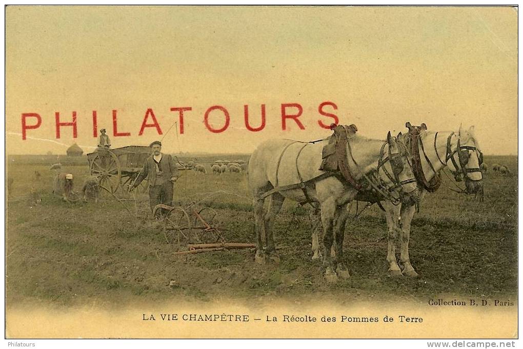 LA RECOLTE DE POMMES DE TERRE  (RARE) - Cultivation