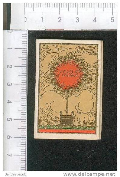 Très Jolie  Carnet Calendrier 1925 Art Déco Paris Compagnie Française - Kleinformat : 1901-20