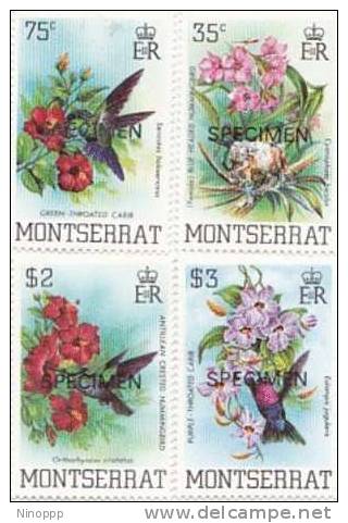 Montserrat-Birds Specimen  Mint Hinged - Colibris