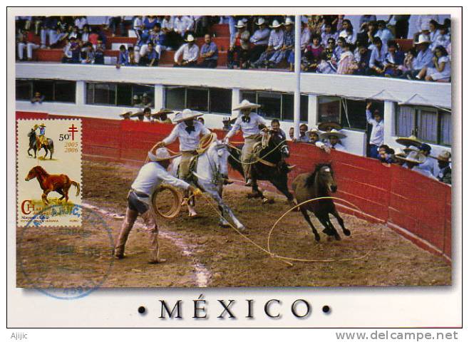 MEXIQUE. Carnaval Mexicain De La Charreria.    Une Carte-maximum - Carnevale