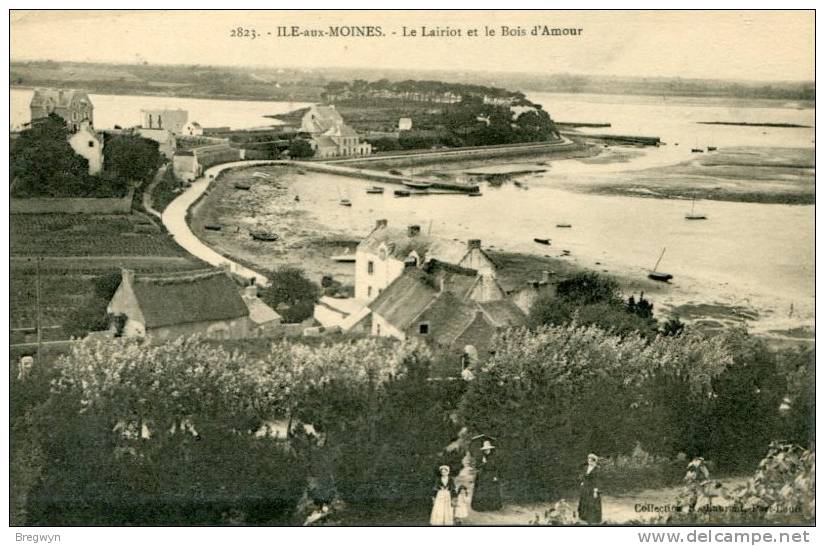 56 - CPA Ile Aux Moines - Le Lairiot Et Le Bois D'Amour - Ile Aux Moines