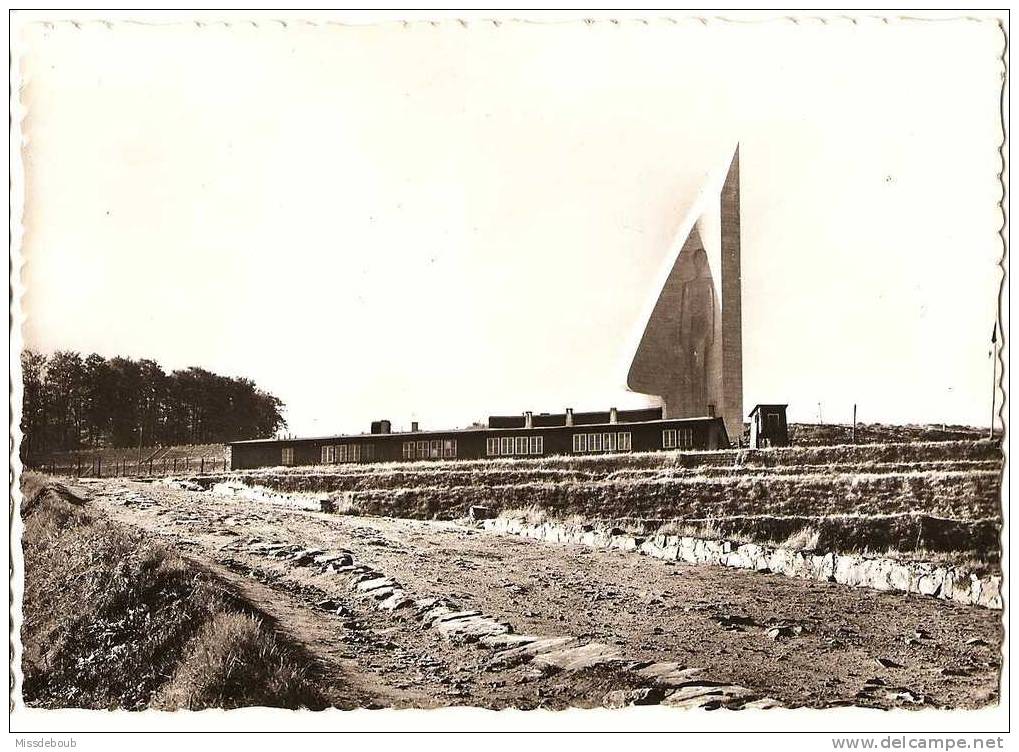 lot de 8 - NATZWEILER - NATZWILLER - Camp et mémorial de la déportation  - Cimetière des déportés - vierges