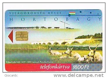 UNGHERIA (HUNGARY) - MATAV  (CHIP) - 2000  HORTOBAGY    - USED  - RIF. 3513 - Vacas