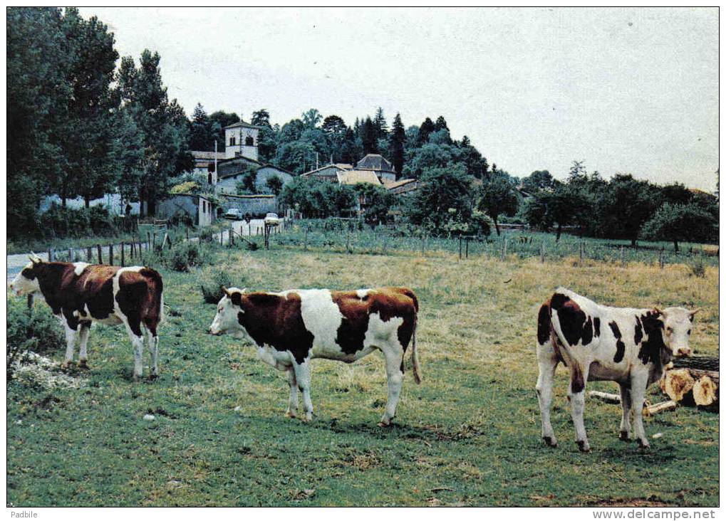 Carte Postale 38. Diemoz  Vaches En Paturage Trés Beau Plan - Diémoz