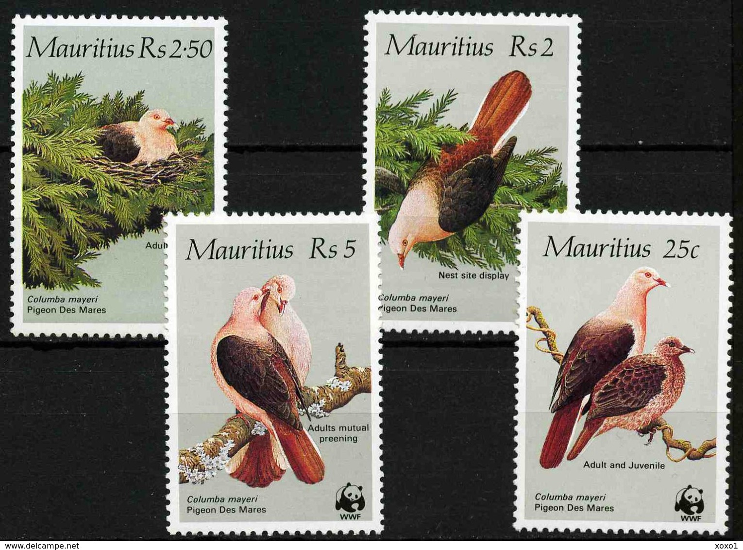 Mauritius 1985 Mi.No. 609 - 612   Birds Pink Pigeon 4v MNH** 50,00 € - Tauben & Flughühner