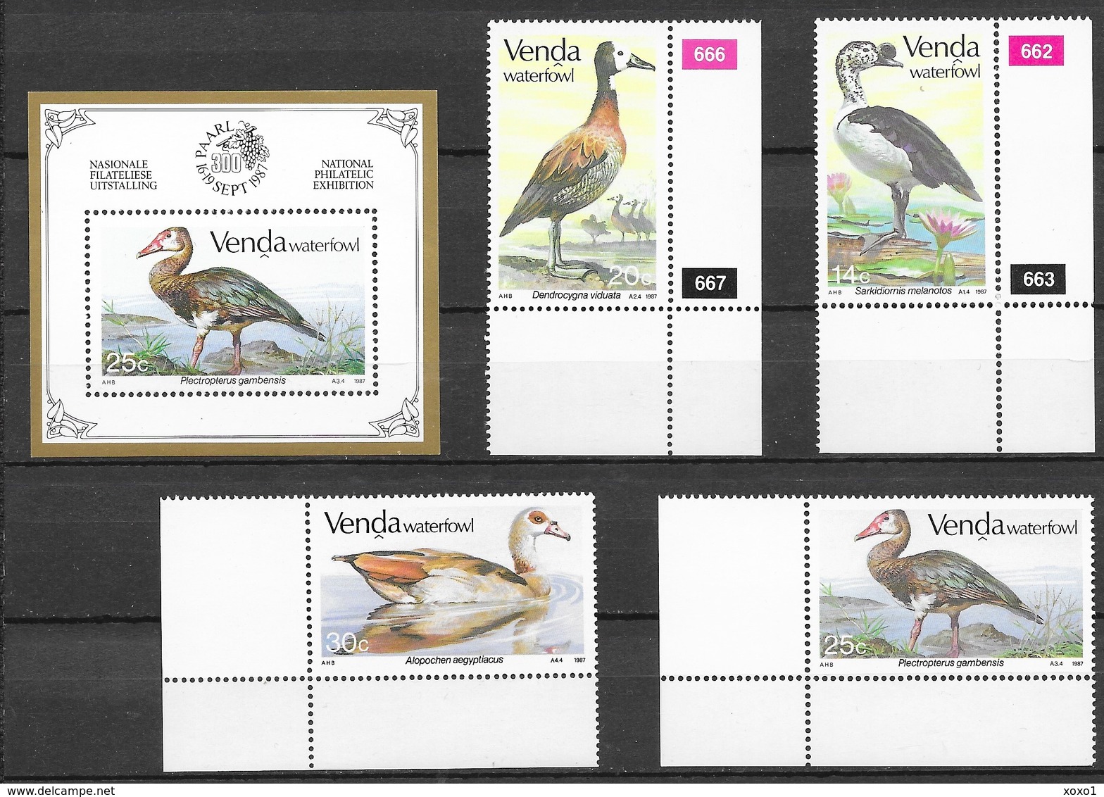 Venda South Africa 1987 MiNr. 150 - 153 (Block 3) Birds Geese 4v+1bl MNH**  15.50 € - Gansos