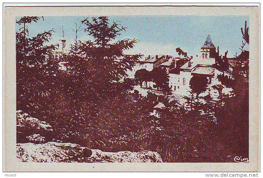 43. MONTFAUCON EN VELAY. CURE D'AIR . DANS LES SAPINS. - Montfaucon En Velay