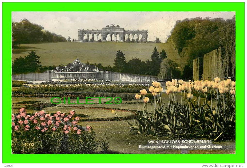 VIENNA, AUSTRIA - SCHLOSS SCHONBRUNN - BLUMENPARTERRE MIT NEPTUNBRUNNEN UND GLORIETTE - TRAVEL 1959 - - Vienna Center