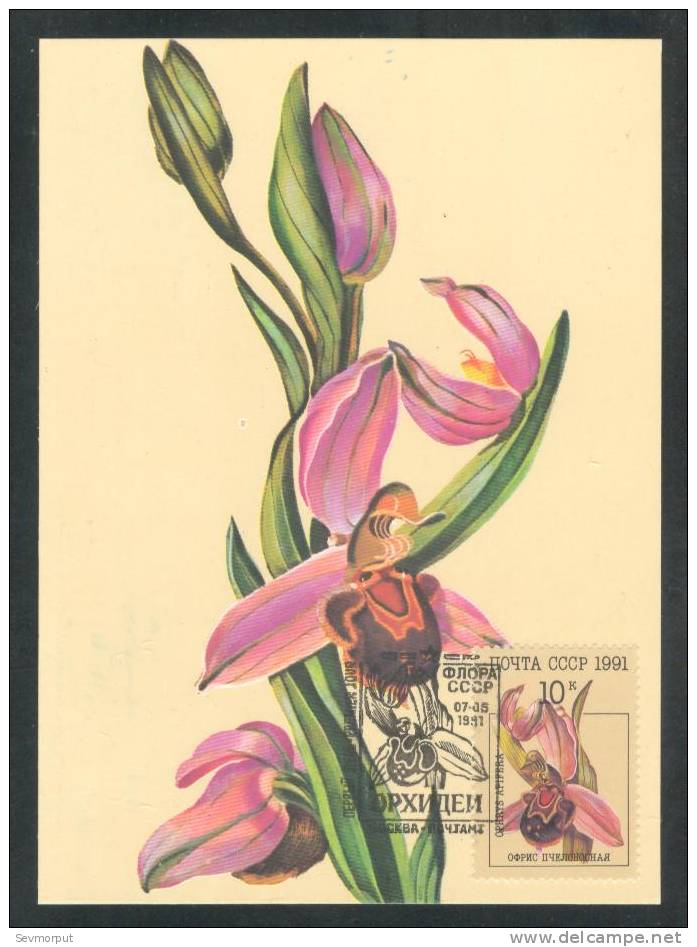 USSR 1991 FIRST DAY MAXIMUM CARD CARTE POSTALE MAXI PREMIER JOUR ORCHID ORCHIDS ORCHIS FLORA FLOWER - Tarjetas Máxima
