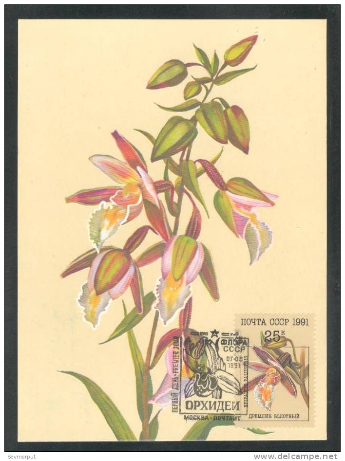 USSR 1991 FIRST DAY MAXIMUM CARD CARTE POSTALE MAXI PREMIER JOUR ORCHID ORCHIDS ORCHIS FLORA FLOWER - Tarjetas Máxima