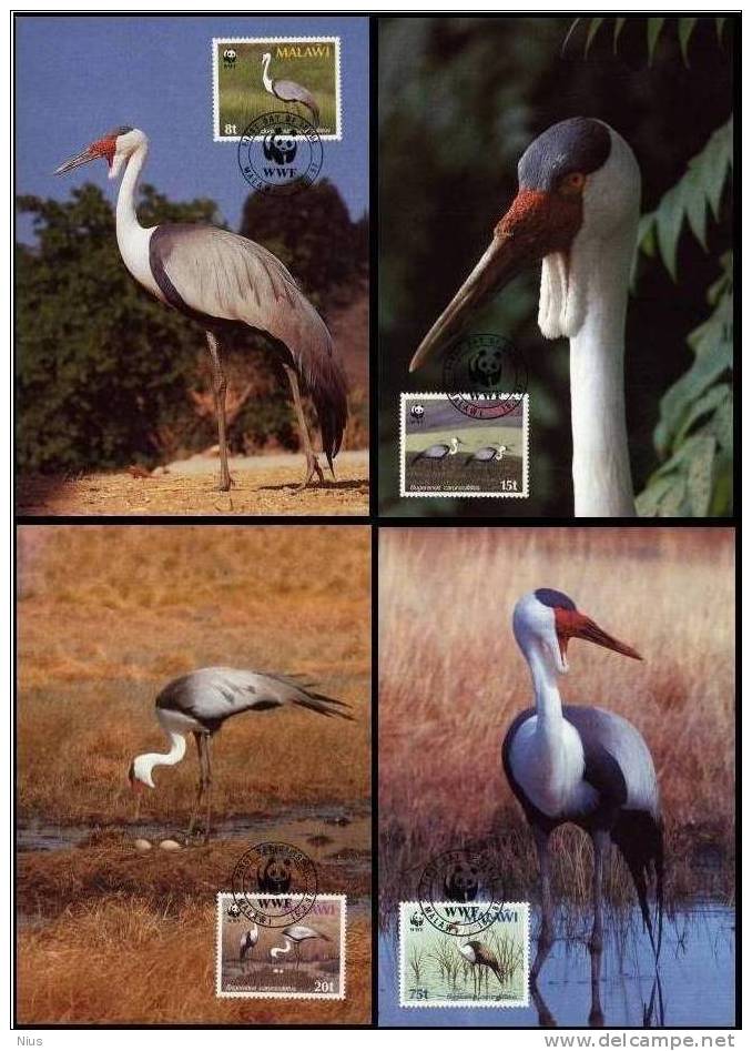 WWF W.W.F. 1987 Malawi Wattled Crane Bird MC / Maxi Maximum Cards X4 Fauna - Maximum Cards