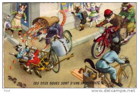 Chats  A Comportement Humain - Moto, Bicyclette...      (24338) - Wuyts