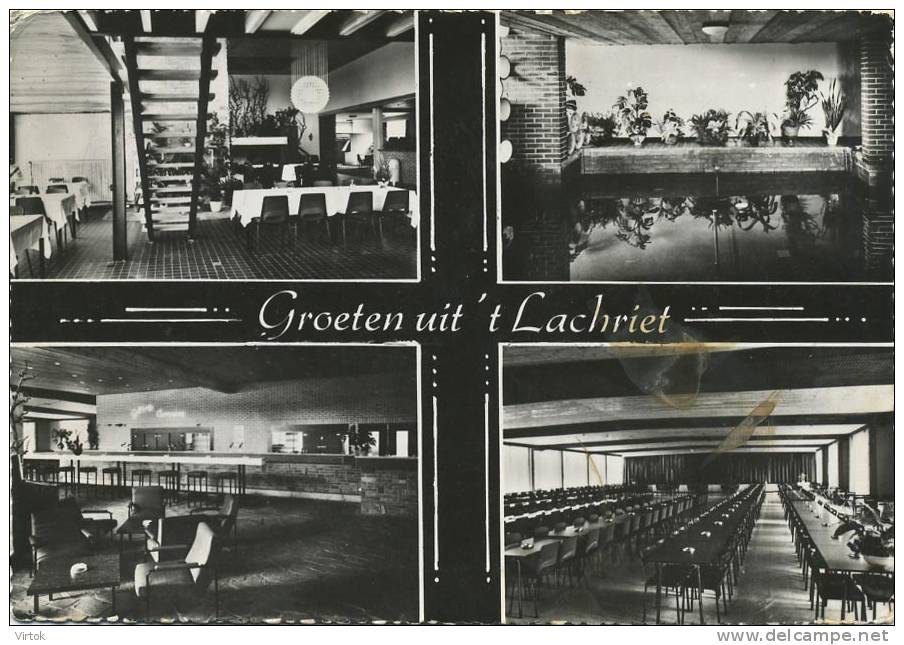 Lichtaart : Groeten Uit 't Lachriet  (  Dancing - Café - Restaurant ) ( Groot Formaat ) - Kasterlee