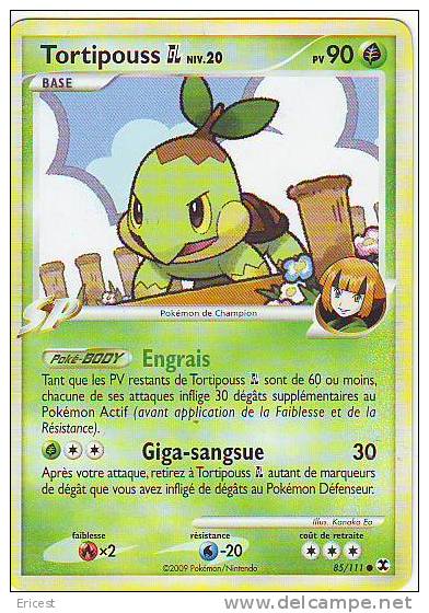 CARTE POKEMON TORTIPOUSS NIV 20 85/11 BON ETAT - Otros & Sin Clasificación