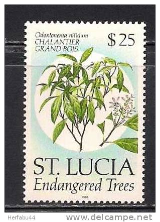 St. Lucia      Endangered Trees      Stamp (high Value Of The Set)     SC# 964 MNH** - St.Lucia (1979-...)