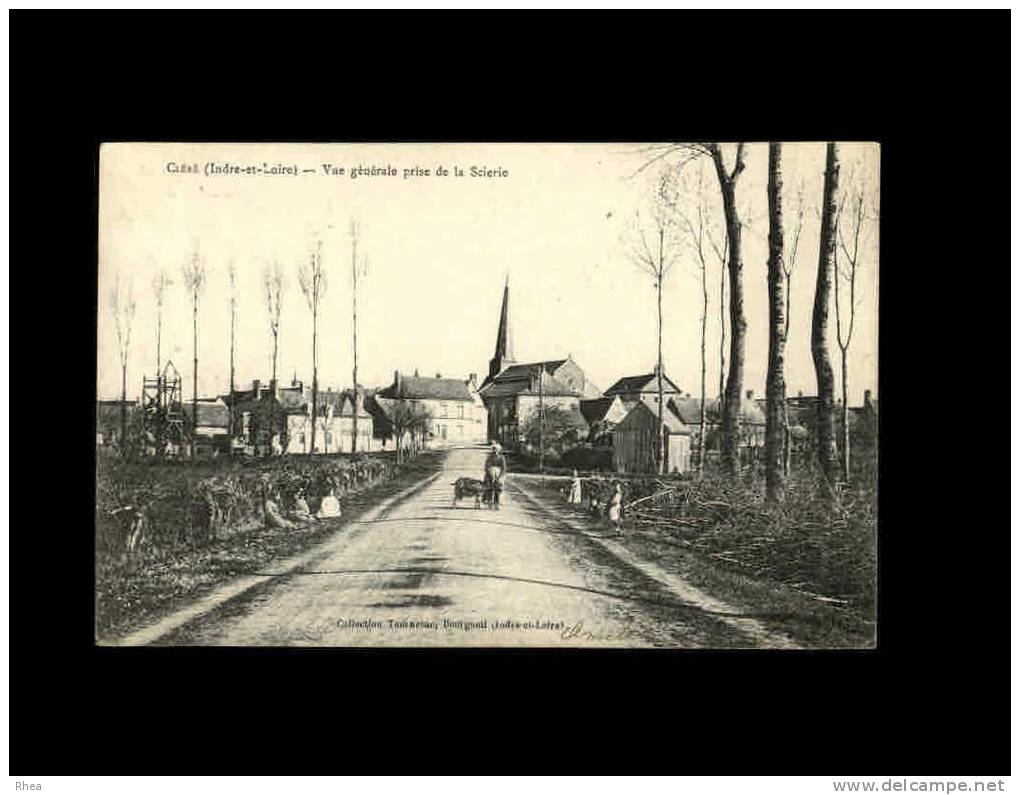 37 - CLERE - Vue Générale Prise De La Scierie - Cléré-les-Pins