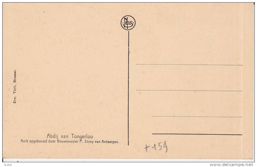 Tongerlo - Binnenzicht Van De Kerk - Westerlo