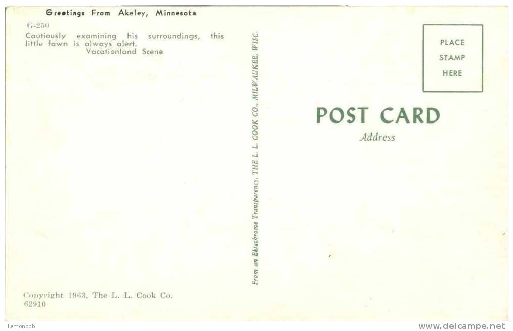 USA – United States – Greetings From Akeley, Minnesota 1963 Unused Chrome Postcard [P3444] - Other & Unclassified