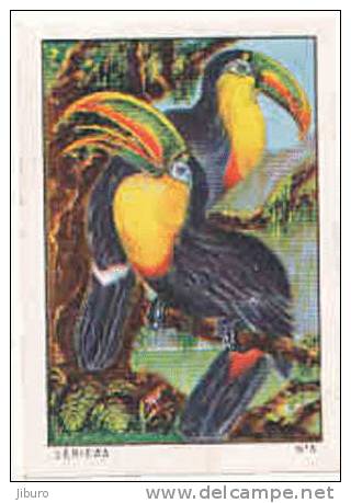 Image /  Oiseaux De Carnaval  /  Rhamphastos Carinatus  /  Toucan ??  /  Oiseau Bird //  IM 6-K/236 - Nestlé