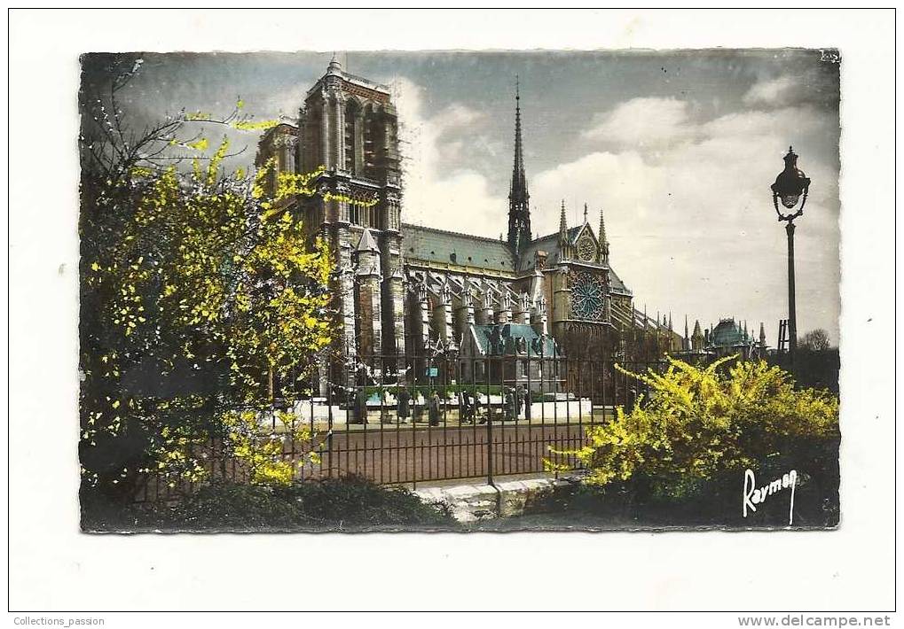 Cp, 75, Paris, Notre-Dame - Notre Dame De Paris