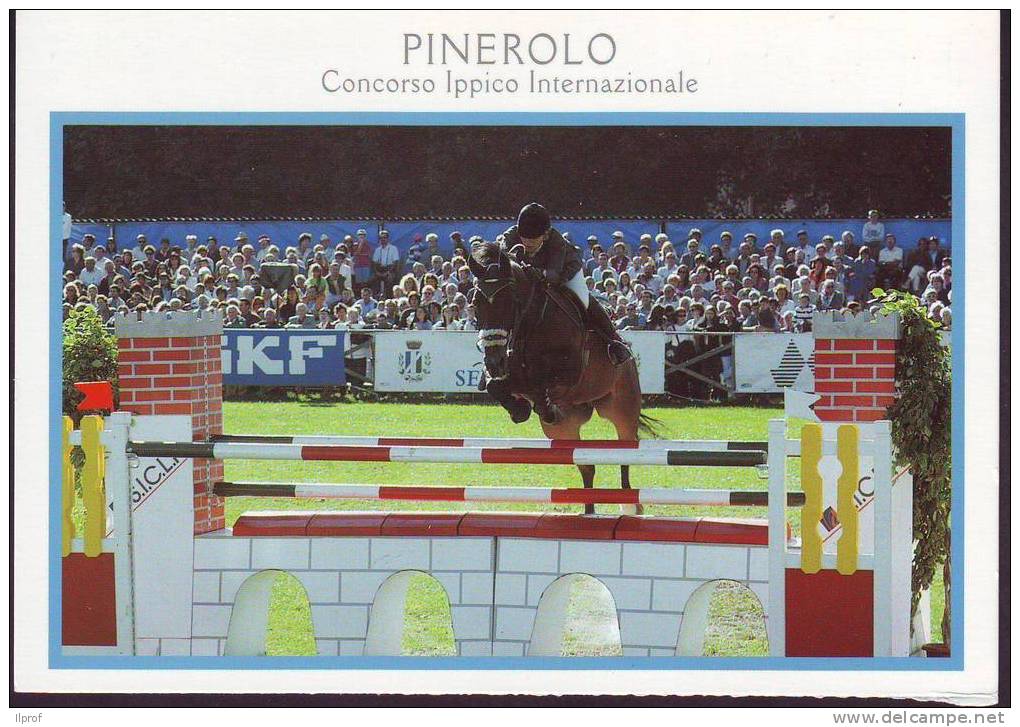 Cavallo All' Ostacolo, Concorso Ippico Internazionale Di Pinerolo - Reitsport