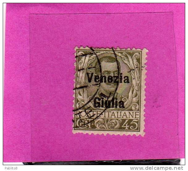 VENEZIA GIULIA 1918 - 1919 SOPRASTAMPATO D´ITALIA ITALY OVERPRINTED CENT. 45 C USATO USED OBLITERE' - Vénétie Julienne