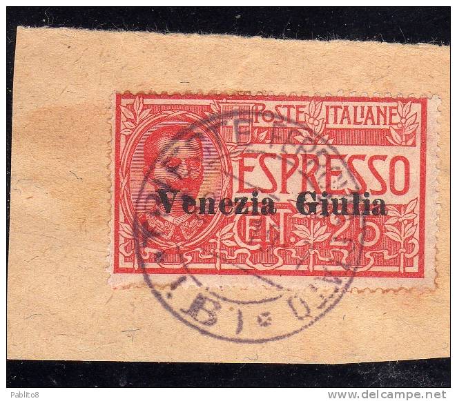 VENEZIA GIULIA 1919 ESPRESSO SPECIAL DELIVERY CENT. 25 C USATO SU FRAMMENTO USED ON PAPER OBLITERE' - Venezia Giulia