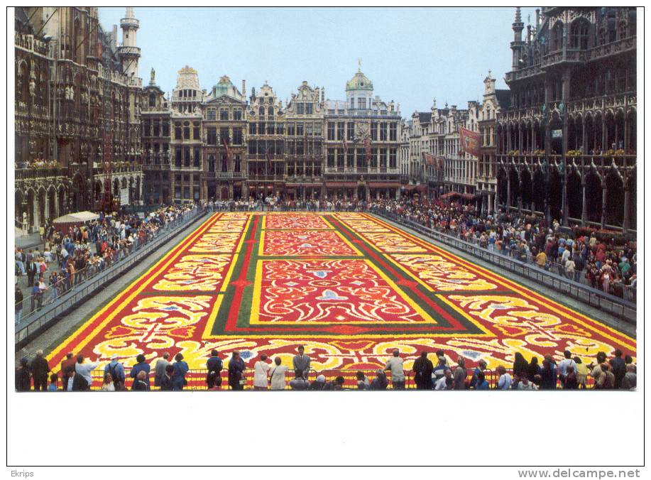 Brussels Grand'Place, Tapis De Fleurs - Fêtes, événements