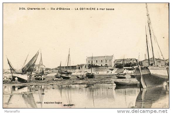 ILE D'OLERON. La Cotinière à Mer Basse - Ile D'Oléron