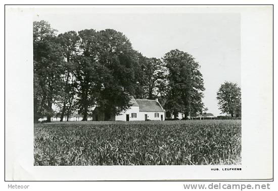 Thorn - Kapel Onder De Linden Leufkens - Thorn