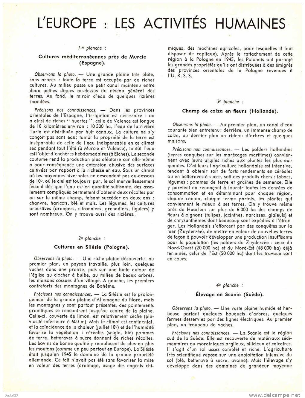 EUROPE - ACTIVITES HUMAINES - DOCUMENTATION PEDAGOGIQUE ROSSIGNOL MONTMORILLON 1956 - Schede Didattiche