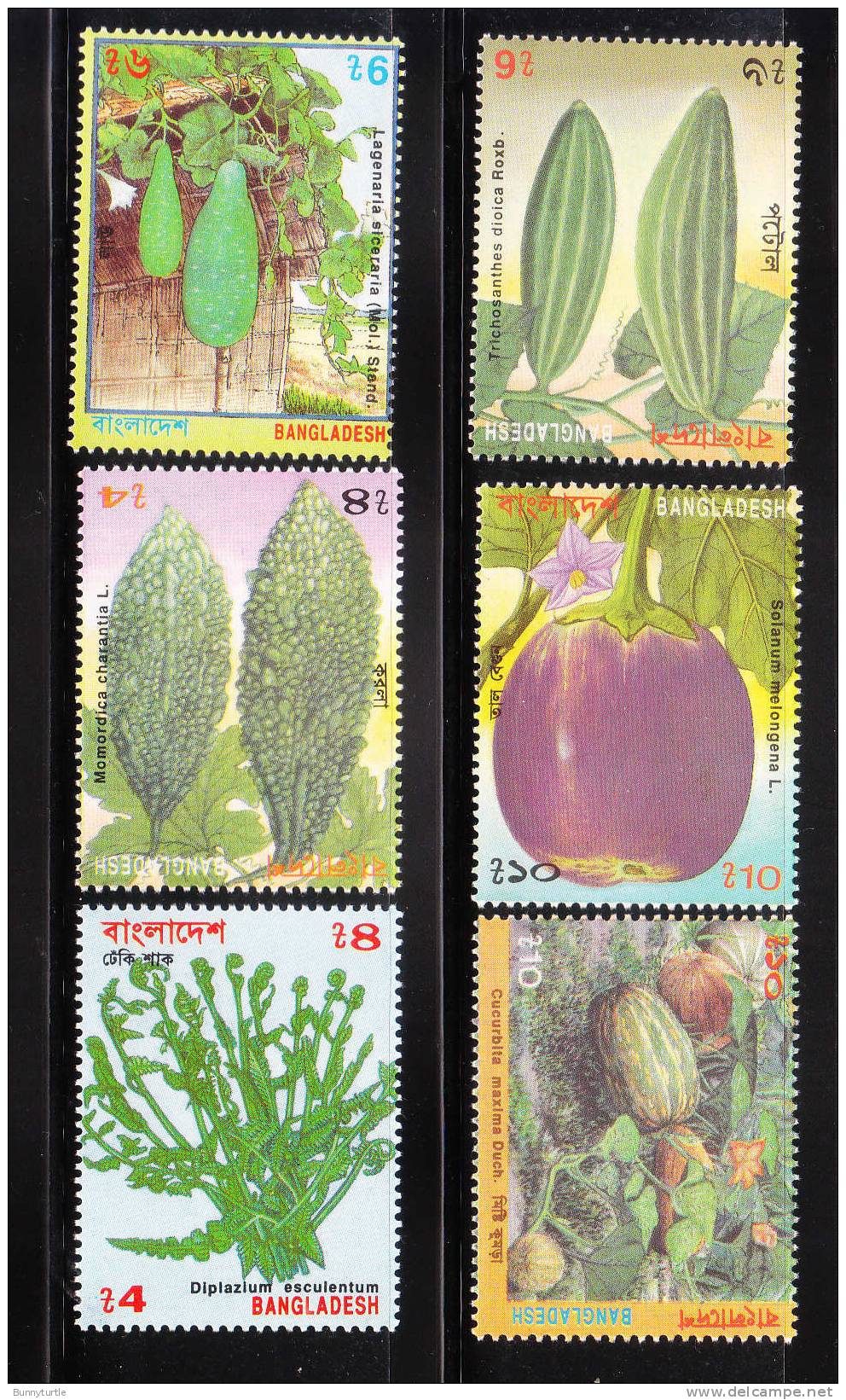Bangladesh 1994 Vegetables Plants MNH - Bangladesch