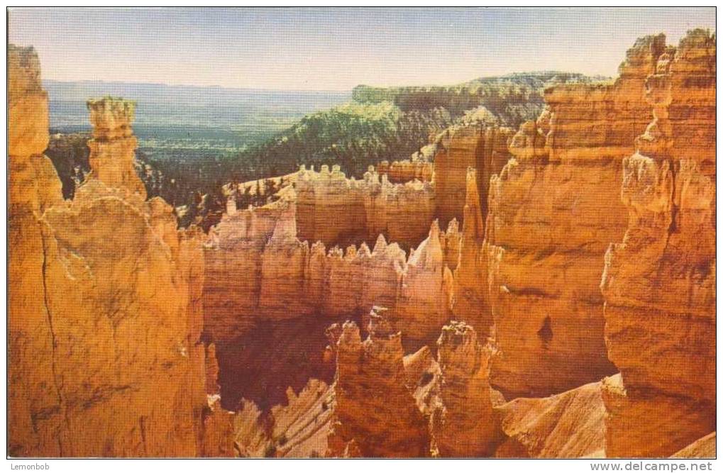 USA – United States – Bryce Canyon National Park, Utah Old Unused Postcard [P3521] - Bryce Canyon