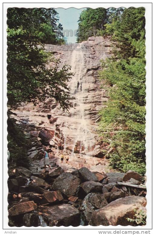 USA CRAWFORD NOTCH, NEW HAMPSHIRE NH, ARETHUSA FALLS 1950s-1960s Vintage Postcard - WATERFALLS - Other & Unclassified