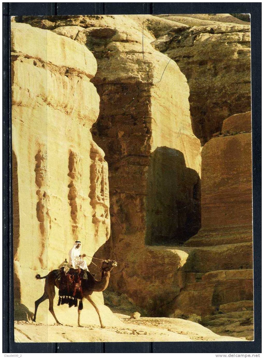 PETRA. JORDANIE . Cavalier Sur Chameau .     (A983) - Jordan