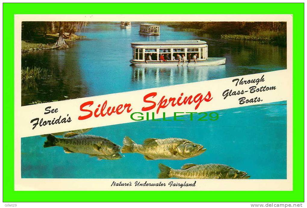 SILVER SPRINGS, FL - SEE FLORIDA'S THROUGH GLASS-BOTTOM BOATS - PHOTO MOZERT - - Silver Springs